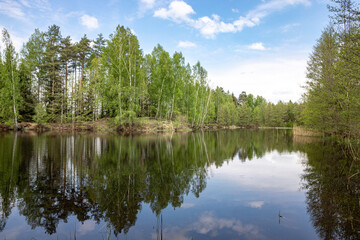 Obraz premium Forest lake view, smooth surface of a lake with clouds reflected, shining level of a forest lake 