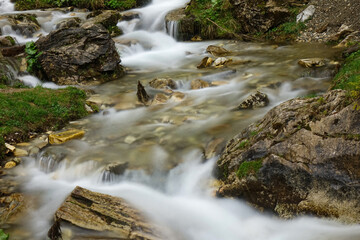Fototapeta premium Mountain river in Borsa (Maramures, Transylvania, Romania) 