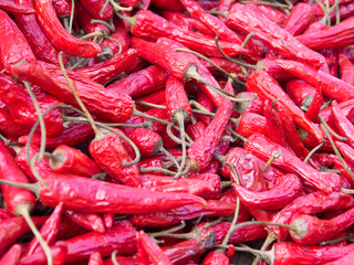 唐辛子　スパイシー　アジア　旅行　中国　韓国　チリ