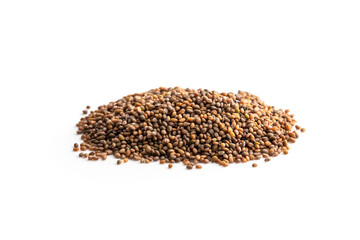 Pile of wild rocket seeds isolated on white ready to plant