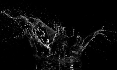 Obraz na płótnie Canvas Abstract water splashes isolated on black background