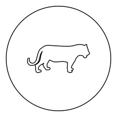 Tiger silhouette in circle round black color vector illustration contour outline style image