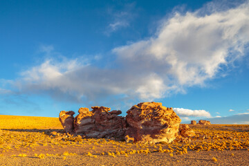 Jagged ignimbrite rock on a lava flow in the volcanic active area in the vicinity of Antofagasta de...