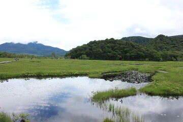 Fototapeta premium 夏の尾瀬ヶ原。鏡のような池塘。
