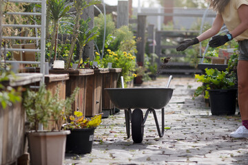 Australia, Melbourne, Wheelbarrow on path in community garden