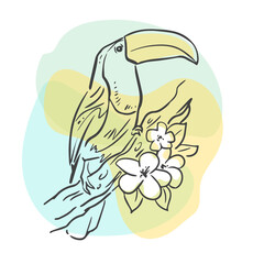 Toucan exotic bird sits on a branch with flowers in the tropics. Simple line drawing Isolated on white background