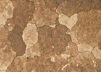 Texture of the dry cracked ground