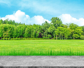 Concrete footpath or walkway with green park in background.