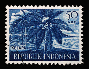 Stamp printed in Indonesia shows Coconut (Cocos nucifera) Kelapa, Agricultural Products series,...