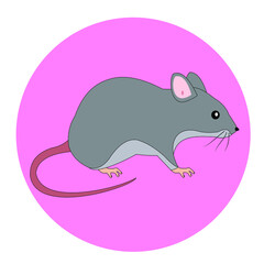 Vector illustration of a mouse on a pink background.