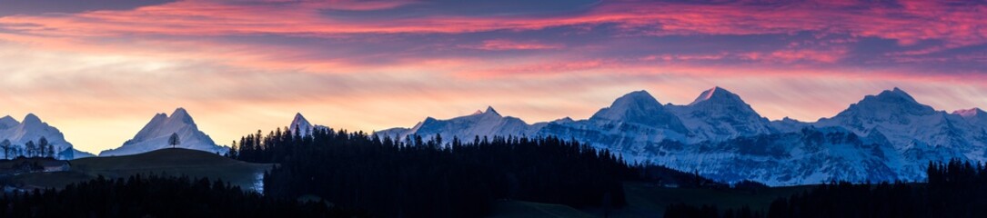 Fototapeta na wymiar colorful morning sunrise in Emmental with a single tree on a hill in Emmental in front of Schreckhorn