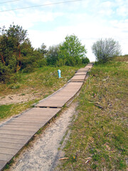 Wooden path to the Baltic Sea on the Curonian Spit