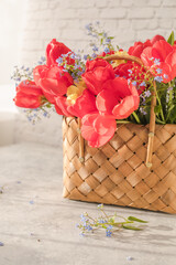 Summer or spring bouquet of daffodils and red tulips in a wicker basket located on a white background. Blossom of spring flowers.