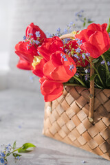 Summer or spring bouquet of daffodils and red tulips in a wicker basket located on a white background. Blossom of spring flowers.