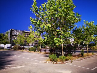 University campus at night in Madrid