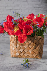 Summer or spring bouquet of daffodils and red tulips in a wicker basket located on a white background. Blossom of spring flowers.