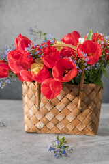 Fototapeta na wymiar Summer or spring bouquet of daffodils and red tulips in a wicker basket located on a white background. Blossom of spring flowers.