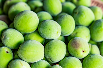 Japanese apricot.
Ume Shigoto,Japanese plum preparation.


