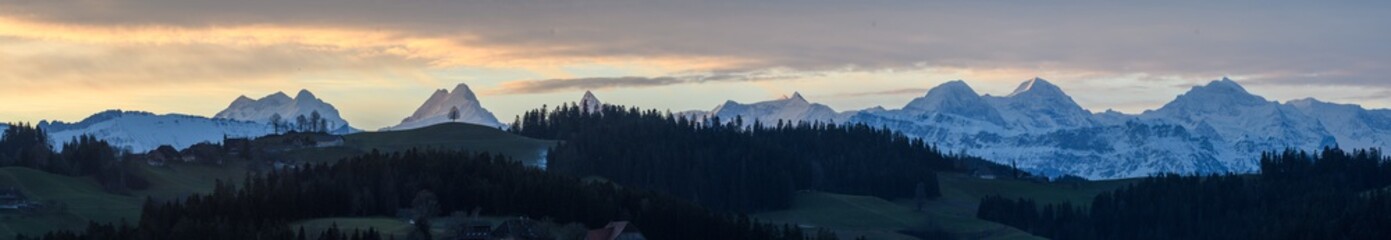 panorma of the bernese alps in warm morning light