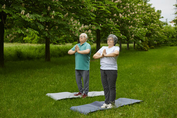 Naklejka na ściany i meble Senior couple doing fitness exercise in quiet tranquil summer park. Retired husband and wife enjoying yoga practice in nature standing on fresh grassy lawn among green trees. Healthy lifestyle concept