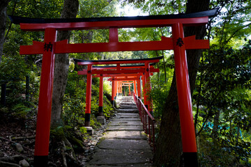 Kamigamo Shrine in Kyoto.