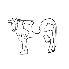 Doodle.Farm animals.Cow.Hand drawn line art.