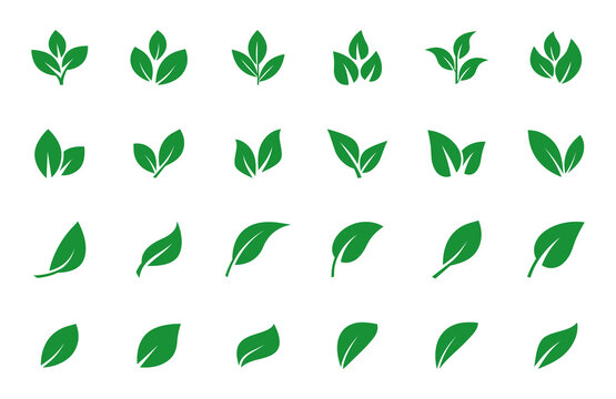 Set of green leaf icons. Leaves of trees and plants. Leaves icon. Collection green leaf. Elements design for natural, eco, bio, vegan labels. Vector illustration.