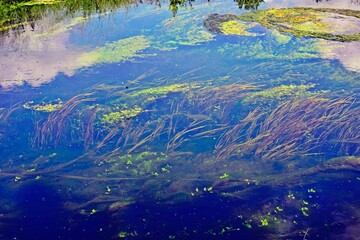 Close up of river