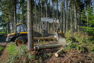 Moderne Maschinen erleichtern die Waldarbeit - Harvester im Einsatz.