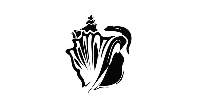 Rapan icon animation simple best object on white