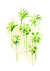 Watercolor hand drawn poster with exotic stylized palm trees. Abstract summer tropical background in green colors