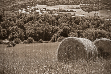 rural landscape with houses standing alone in the province of Tuscany in Italy