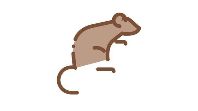 Rat Icon Animation. color Rat animated icon on white background