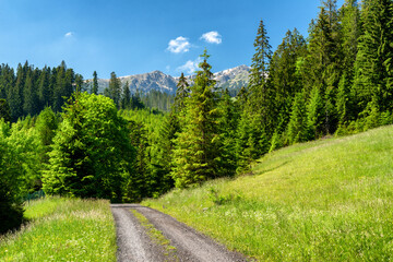 Fototapeta na wymiar Low Tatras mountains from Janska valley, Slovakia