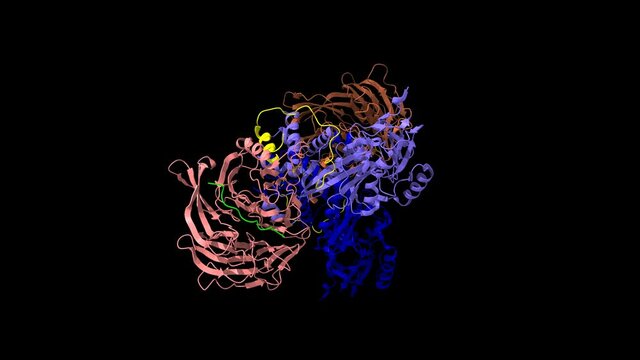 Crystal structure of histone acetyltransferase complex; histone H4 (yellow), histone H3 (green) shown. Animated 3D cartoon and transparent Gaussian surface model, black background