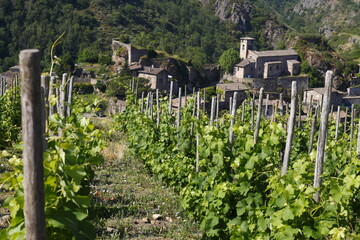 Fototapeta na wymiar Malleval Vallée du Rhône Loire Auvergne Rhône Alpes France