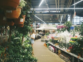 
a woman in a flower shop will choose houseplants