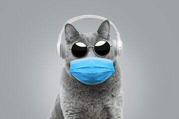 funny hipster cat with sunglasses in a medical mask listens to music with white headphones....