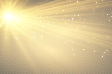 Shining golden stars isolated on black background. Effects, glare, lines, glitter, explosion, golden light. Vector illustration