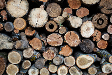 Wood logs for background. Preparation for firewood. 