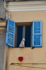 puppets greeting people from windows