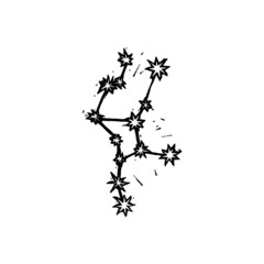 Virgo sign zodiac astrology vector linocut print illustration constellation