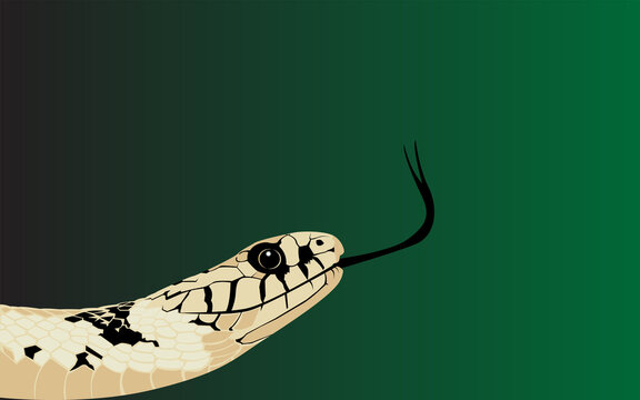world snake day vector illustration, for poster, banner, background, easy to edit, eps 10
