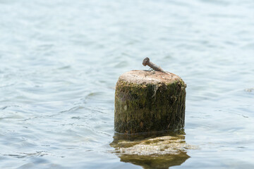old wood pier in water