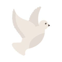dove bird icon