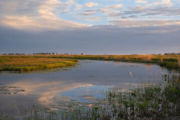 Fototapeta na wymiar Sunset scene at swamps and wetlands of Big Creek National Wildlife Area near Long Point Provincial Park, Lake Erie shore.