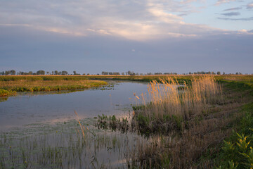 Sunset scene at swamps and wetlands of Big Creek National Wildlife Area near Long Point Provincial Park, Lake Erie shore.