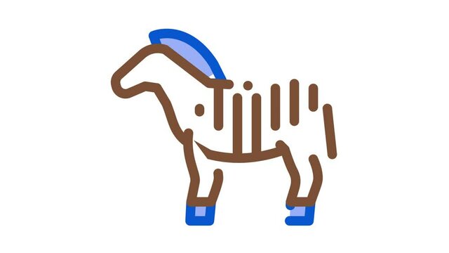 Zebra Icon Animation. color Zebra animated icon on white background