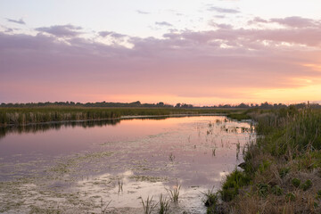 Sunset scene at swamps and wetlands of Big Creek National Wildlife Area near Long Point Provincial Park, Lake Erie shore.