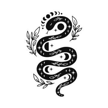 Mystical snake with moon phases and floral elements.